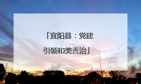 宜阳县：党建引领和美善治
