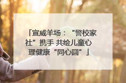 宣威羊场：“警校家社”携手 共绘儿童心理健康“同心圆”