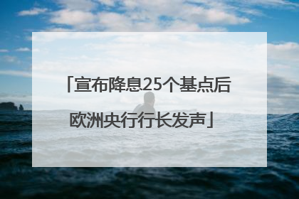 宣布降息25个基点后 欧洲央行行长发声