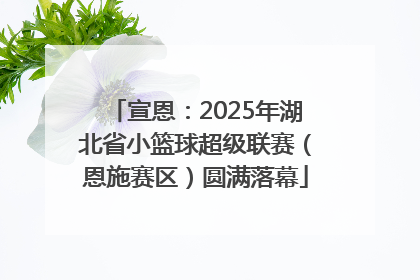 宣恩：2025年湖北省小篮球超级联赛（恩施赛区）圆满落幕