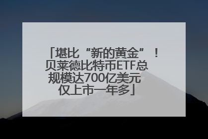 堪比“新的黄金”！贝莱德比特币ETF总规模达700亿美元 仅上市一年多