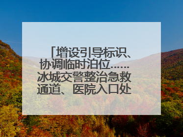 增设引导标识、协调临时泊位……冰城交警整治急救通道、医院入口处违停乱象