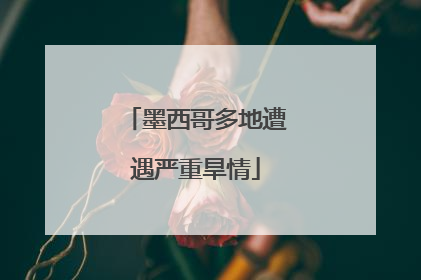 墨西哥多地遭遇严重旱情