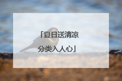 夏日送清凉 分类入人心