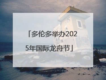 多伦多举办2025年国际龙舟节