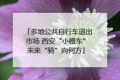 多地公共自行车退出市场 西安“小橙车”未来“骑”向何方