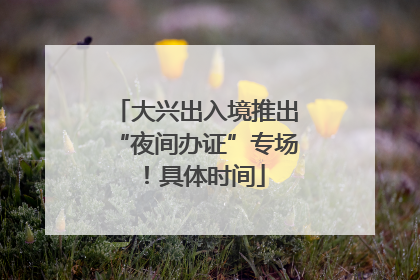大兴出入境推出“夜间办证”专场！具体时间