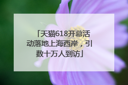 天猫618开幕活动落地上海西岸，引数十万人到访