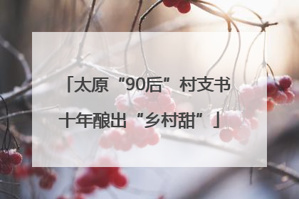 太原“90后”村支书十年酿出“乡村甜”