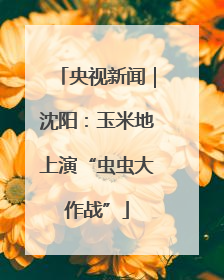央视新闻｜沈阳：玉米地上演“虫虫大作战”