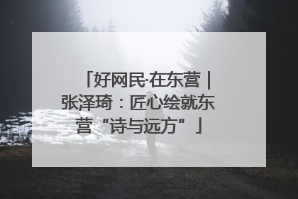 好网民·在东营｜张泽琦：匠心绘就东营“诗与远方”