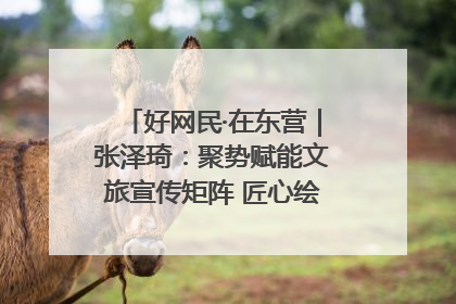 好网民·在东营｜张泽琦：聚势赋能文旅宣传矩阵 匠心绘就东营诗与远方