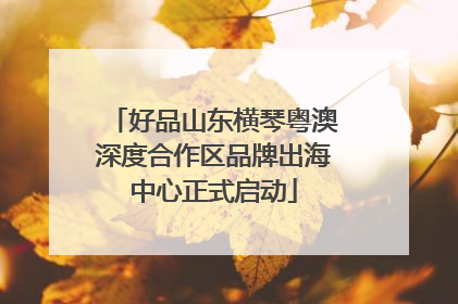 好品山东横琴粤澳深度合作区品牌出海中心正式启动