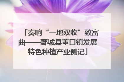 奏响“一地双收”致富曲——鄄城县董口镇发展特色种植产业侧记