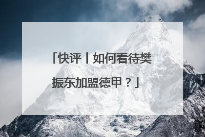 快评丨如何看待樊振东加盟德甲？