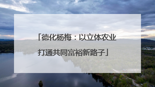 德化杨梅：以立体农业打通共同富裕新路子