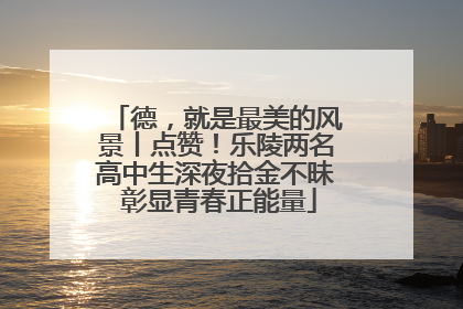 德，就是最美的风景丨点赞！乐陵两名高中生深夜拾金不昧 彰显青春正能量