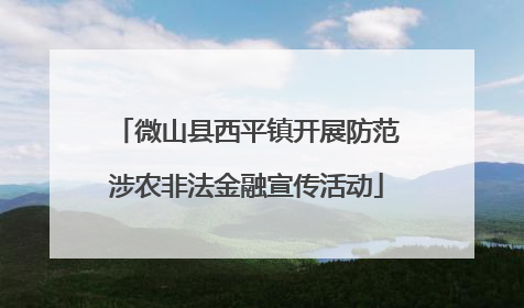 微山县西平镇开展防范涉农非法金融宣传活动