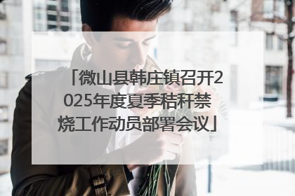 微山县韩庄镇召开2025年度夏季秸秆禁烧工作动员部署会议