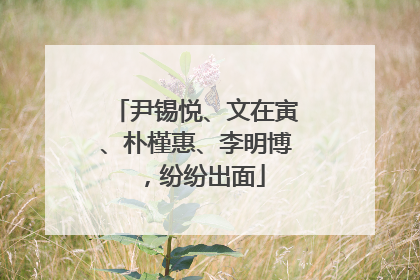 尹锡悦、文在寅、朴槿惠、李明博，纷纷出面