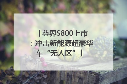 尊界S800上市：冲击新能源超豪华车“无人区”