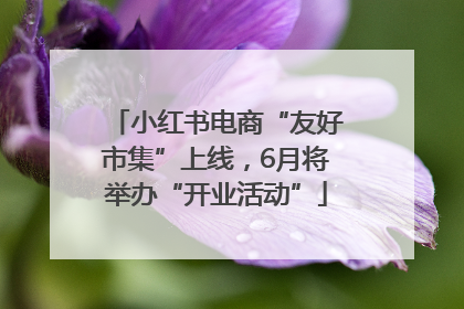 小红书电商“友好市集”上线，6月将举办“开业活动”