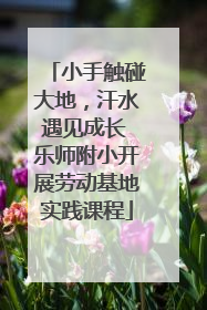 小手触碰大地，汗水遇见成长 乐师附小开展劳动基地实践课程