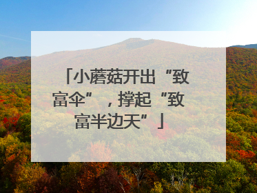 小蘑菇开出“致富伞”，撑起“致富半边天”