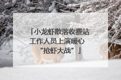 小龙虾散落收费站 工作人员上演暖心“抢虾大战”