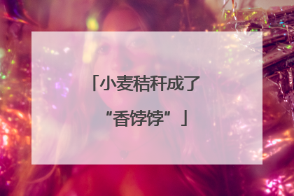 小麦秸秆成了“香饽饽”