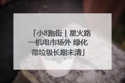 小8跑街｜星火路一机电市场外 绿化带垃圾长期未清