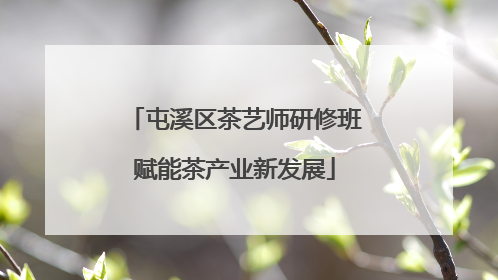 屯溪区茶艺师研修班赋能茶产业新发展