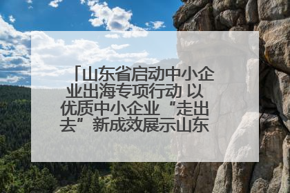 山东省启动中小企业出海专项行动 以优质中小企业“走出去”新成效展示山东产业发展新形象