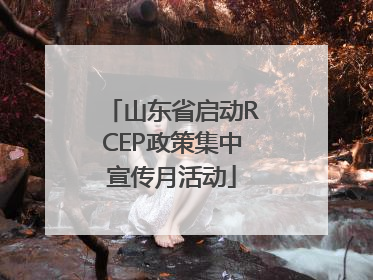 山东省启动RCEP政策集中宣传月活动