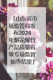 山东省市场监管局发布2024年烟花爆竹产品质量省级专项监督抽查结果