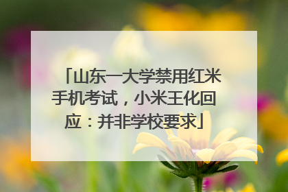 山东一大学禁用红米手机考试，小米王化回应：并非学校要求