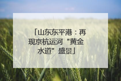 山东东平港：再现京杭运河“黄金水道”盛景