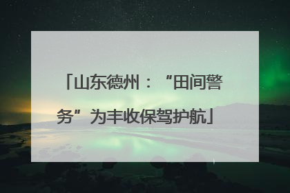 山东德州：“田间警务”为丰收保驾护航