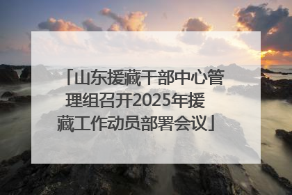 山东援藏干部中心管理组召开2025年援藏工作动员部署会议