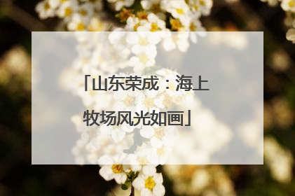 山东荣成：海上牧场风光如画