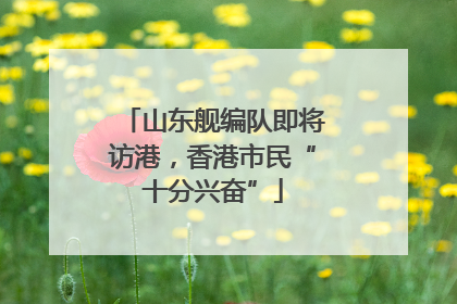 山东舰编队即将访港，香港市民“十分兴奋”