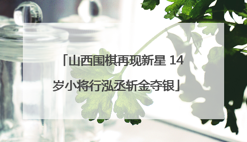 山西围棋再现新星 14岁小将行泓丞斩金夺银