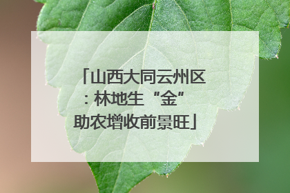 山西大同云州区：林地生“金” 助农增收前景旺