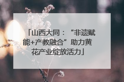 山西大同：“非遗赋能+产教融合”助力黄花产业绽放活力