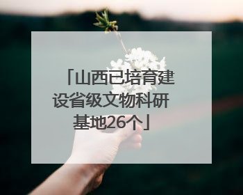 山西已培育建设省级文物科研基地26个