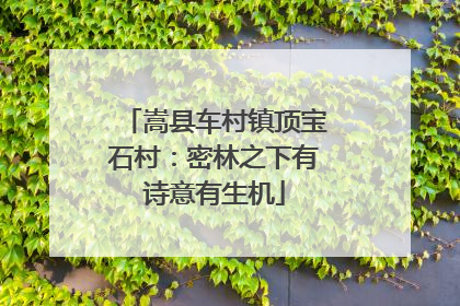 嵩县车村镇顶宝石村：密林之下有诗意有生机