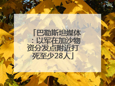 巴勒斯坦媒体：以军在加沙物资分发点附近打死至少28人