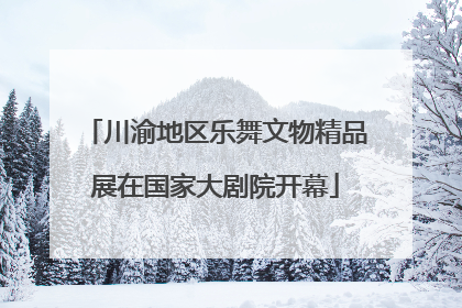 川渝地区乐舞文物精品展在国家大剧院开幕