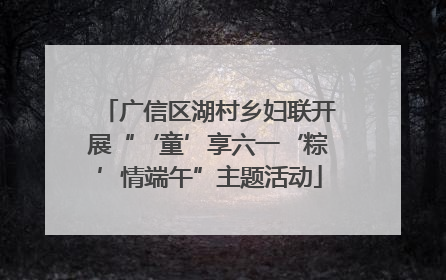广信区湖村乡妇联开展“‘童’享六一‘粽’情端午”主题活动
