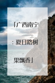 广西南宁：夏日路树果飘香